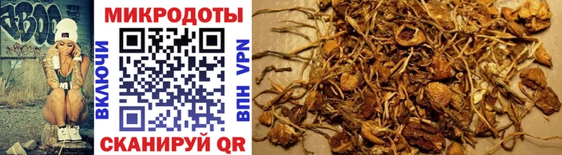Псилоцибиновые грибы Psilocybine cubensis Горбатов